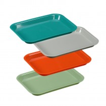 Flat Tray - Size F (Standard)