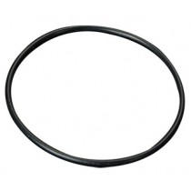 Canister Lid O-Ring (Promo)