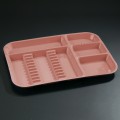 Divided Tray-Coral