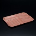 Divided Tray Size E Coral