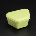 PROBATH Denture Box - Green Tea