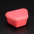 PROBATH Denture Box - Pink Salmon