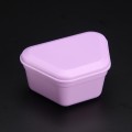 PROBATH Denture Box - Purple Gala