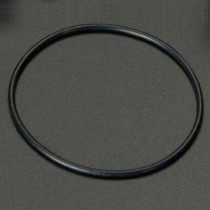 Canister Lid O-Ring